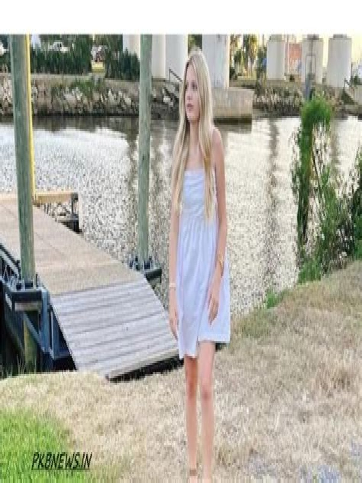 HTML